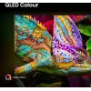 Hisense 43E77Q PRO 109,2 cm (43 tolli) 4K Ultra HD Smart TV Wi-Fi Must