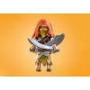 Märul/seiklusmängukomplekt PLAYMOBIL Novelmore 71026 Mitmevärviline