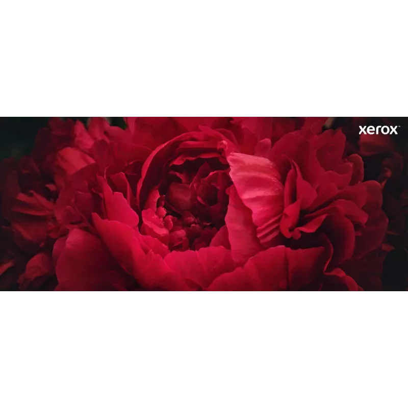 Xerox Genuine ® VersaLink® C625 värvilise multifunktsionaalse printeri kollane suure mahutavusega toonerikassett (16000 lehekülge) - 006R04639