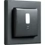 Liikumisandur HomeMatic IP HmIP-SMI55-A Antratsiit — seina-/laekinnitus, 55 kaadrit
