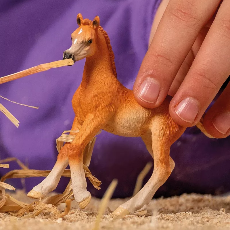 Schleich hobusekuju Araabia varsamudel 13984, pruun, soovitatav vanus 5+