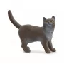 Figuur Schleich Briti lühikarvaline kass mudel 13973, pruunikashall, vanusele 3+