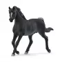 schleich HORSE CLUB Araabia täkk, 5 aastat, Hobused, Must, Hall, Valge, Plastik