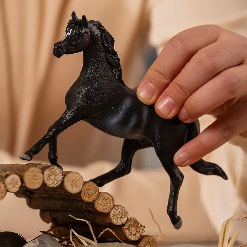 schleich HORSE CLUB Araabia täkk, 5 aastat, Hobused, Must, Hall, Valge, Plastik