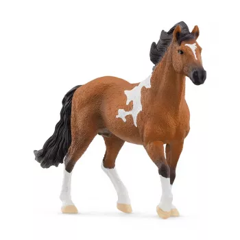 schleich HORSE CLUB Mangalarga Marchador täkk, 5 aastat, Hobused, Must, Pruun, Valge, Plastik
