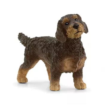 schleich FARM WORLD Karvakarva taksikoer. Soovitatav vanus (min): 3 aastat, Toote värv: Pruun