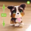 FurReal Walkalots Bernedoodle Puppy, poiss/tüdruk, 4 a, heliga