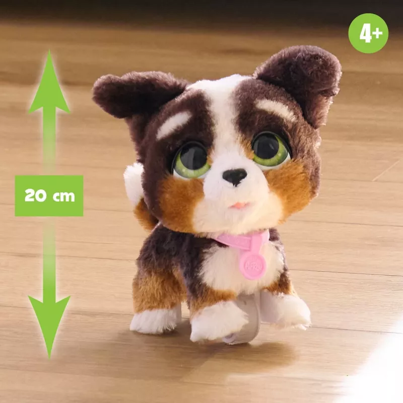 FurReal Walkalots Bernedoodle Puppy, poiss/tüdruk, 4 a, heliga