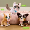 FurReal Walkalots Bernedoodle Puppy, poiss/tüdruk, 4 a, heliga