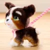 FurReal Walkalots Bernedoodle Puppy, poiss/tüdruk, 4 a, heliga