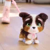 FurReal Walkalots Bernedoodle Puppy, poiss/tüdruk, 4 a, heliga