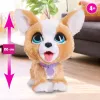 FurReal Poop-a-lots Corgi, Poisile/Tüdrukule, 4 a, Heliga FurReal Poop-a-lots Corgi. Toote värv: Mitmevärviline