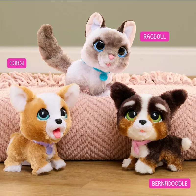 FurReal Poop-a-lots Corgi, Poisile/Tüdrukule, 4 a, Heliga FurReal Poop-a-lots Corgi. Toote värv: Mitmevärviline