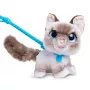 FurReal Wag-a-lots Kitty, Poiss/Tüdruk, 4 a, Heliga FurReal Wag-a-lots Kitty. Toote värv: Mitmevärviline