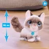 FurReal Wag-a-lots Kitty, Poiss/Tüdruk, 4 a, Heliga FurReal Wag-a-lots Kitty. Toote värv: Mitmevärviline