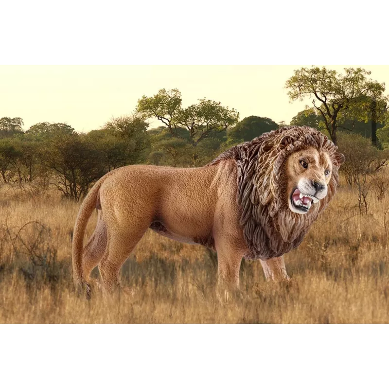 Schleich WILD LIFE Möirgav lõvi mitmevärviline plastik 3+ aastat