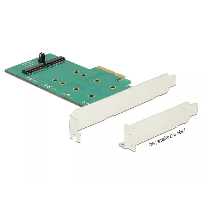Sisemine M.2 adapter DeLOCK 89536