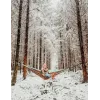 Rippvõrkkiik AMAZONAS AZ-1030186