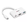 Lindy USB 3.2 USB-C HDMI-muundur koos USB Type-A pordi ja toiteedastusega
