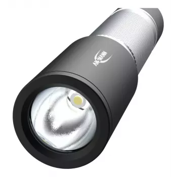 Universaalne taskulamp Ansmann Daily Use 300B Must Hõbedane LED 5W IPX4