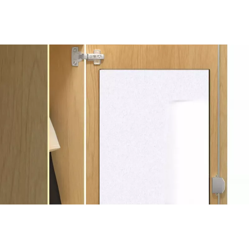Silikoonhermeetik Fischer Premium construction silicone DBSA