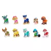 PAW Patrol, 10. aastapäev, Kõik käpad tekil mängufiguuride kinkekomplekt 10 kogutava tegevusfiguuriga, laste mänguasjad alates 3. eluaastast