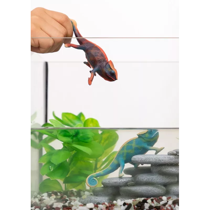 schleich WILD LIFE Kameeleon, 3 aastat, Mets, Safariloomad, Metsloomad / seiklusmänguasjad, Mitmevärviline, Plastik