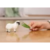 Schleich Valaisi mustaninalammas, 3 aastat, Talu, Talu loomad / talumänguasjad, Must, Valge, Plastik