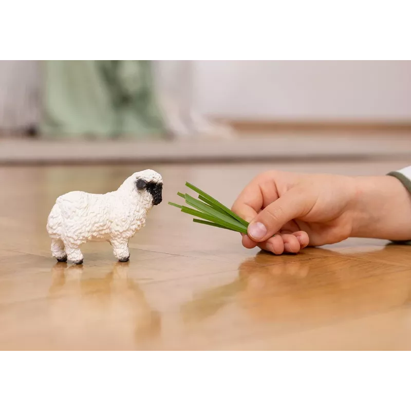 Schleich Valaisi mustaninalammas, 3 aastat, Talu, Talu loomad / talumänguasjad, Must, Valge, Plastik