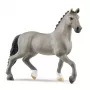 schleich HORSE CLUB Selle Français täkk, 5 aastat, Hobused, Hall, Plastik