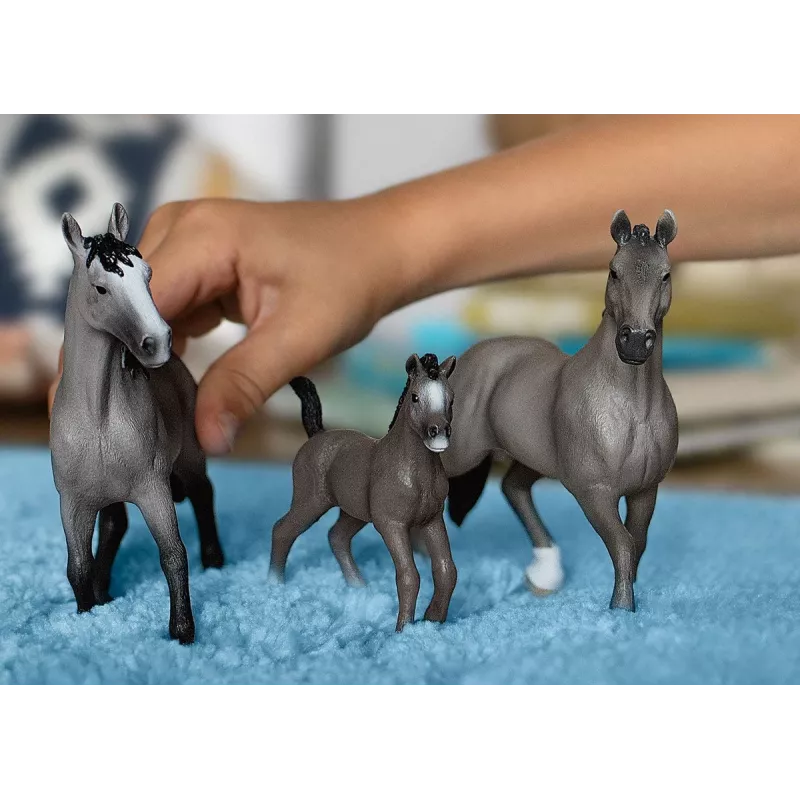 schleich HORSE CLUB Selle Français täkk, 5 aastat, Hobused, Hall, Plastik