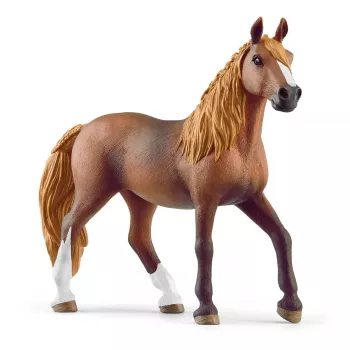 schleich HORSE CLUB Peruuvi Paso Määr, 5 aastat, Hobused, Pruun, Valge, Plastik