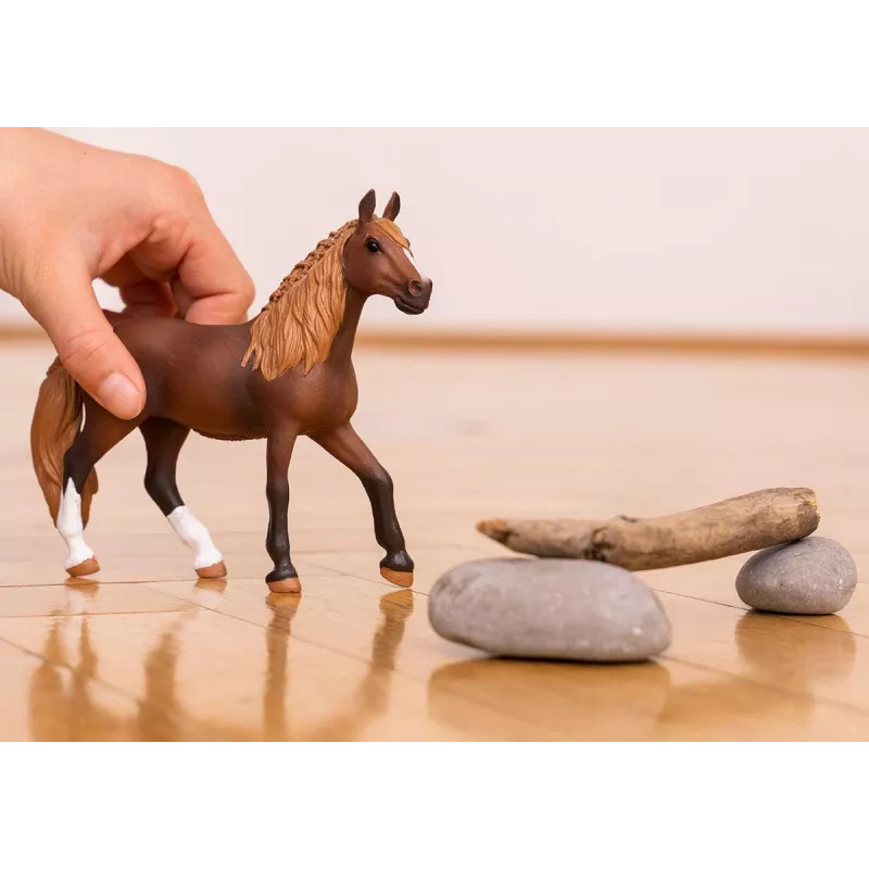 schleich HORSE CLUB Peruuvi Paso Määr, 5 aastat, Hobused, Pruun, Valge, Plastik
