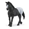 schleich HORSE CLUB Hobusekast mära ja varssaga, Hobuste tall, Hobused, 5 aastat, Mitmevärviline, Plastik