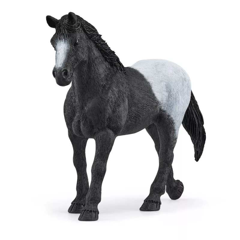 schleich HORSE CLUB Hobusekast mära ja varssaga, Hobuste tall, Hobused, 5 aastat, Mitmevärviline, Plastik