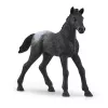 schleich HORSE CLUB Hobusekast mära ja varssaga, Hobuste tall, Hobused, 5 aastat, Mitmevärviline, Plastik