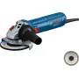 Bosch GWS 12-125 Professional nurklihvija 12,5 cm 11000 p/min 1200 W 2,2 kg