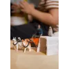 Zoo Schleich WILD LIFE Antarktika ekspeditsioon Mitmevärviline 42558