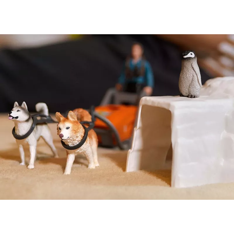 Zoo Schleich WILD LIFE Antarktika ekspeditsioon Mitmevärviline 42558