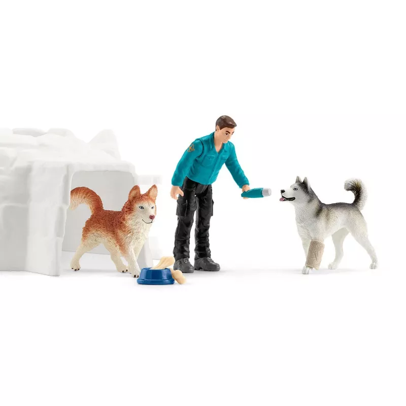 Zoo Schleich WILD LIFE Antarktika ekspeditsioon Mitmevärviline 42558