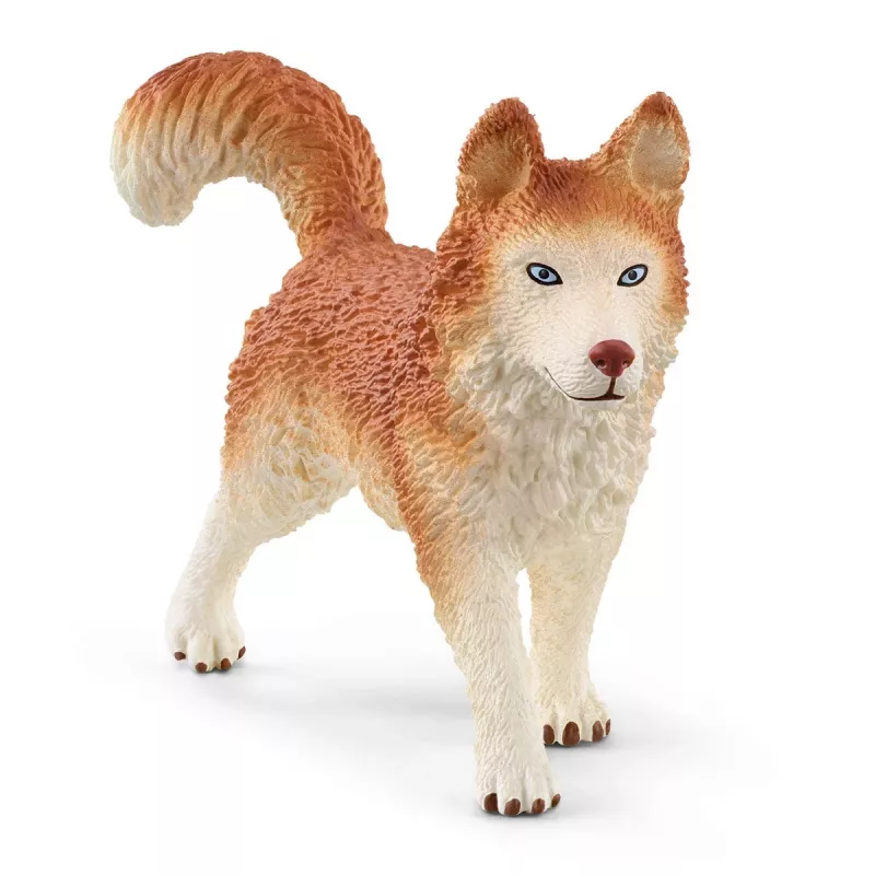 Zoo Schleich WILD LIFE Antarktika ekspeditsioon Mitmevärviline 42558