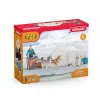 Zoo Schleich WILD LIFE Antarktika ekspeditsioon Mitmevärviline 42558