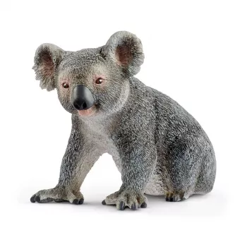 schleich WILD LIFE Koaala, 3 aastat, Džungel, Metsloomad / seiklusmänguasjad, Mitmevärviline, Plastik, 1 tk