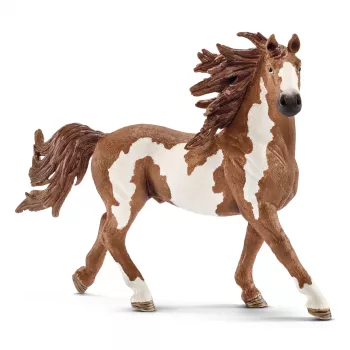 schleich FARM WORLD Pinto täkk, 3 aastat, Farmiloomad / talumänguasjad, Hobused, Mitmevärviline, Plastik, 1 tk