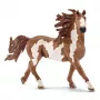 schleich FARM WORLD Pinto täkk, 3 aastat, Farmiloomad / talumänguasjad, Hobused, Mitmevärviline, Plastik, 1 tk