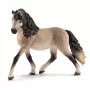 schleich HORSE CLUB Andaluusia mära, 5 aastat, Hobused, Beež, Pruun, Plastik, 1 tk