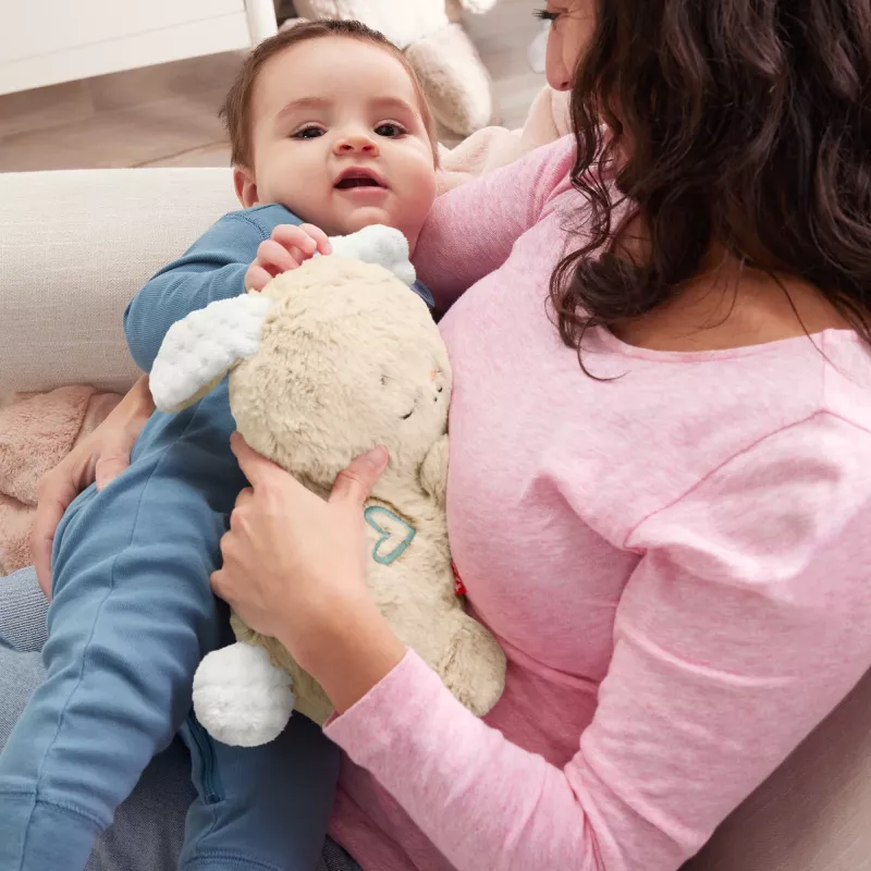 Fisher-Price Soothe & Settle Bunny pehme beebimänguasi ja kohandatav helimasin liikumisega