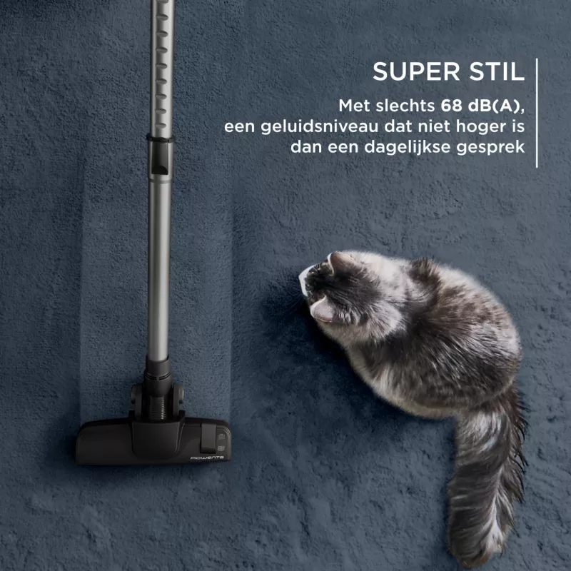 Rowenta roheline Force RO7C36 2,5 L silindertolmuimeja Kuiv 500 W Kogumiskotita