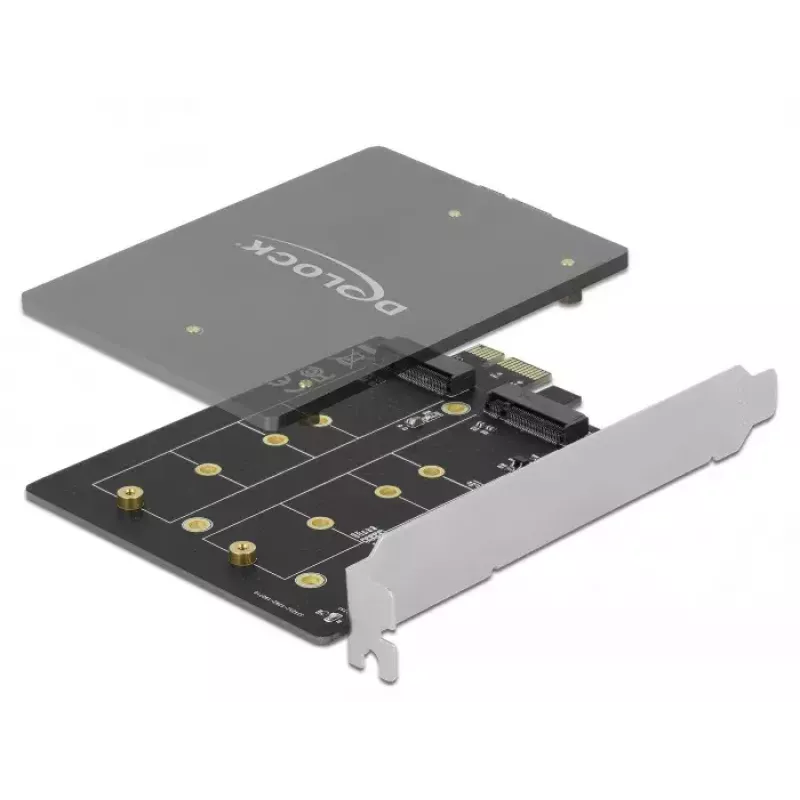 Sisemine M.2 adapter DeLOCK 90432