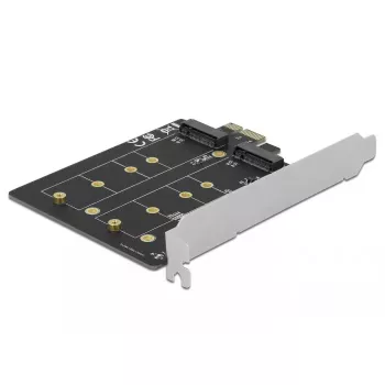 Sisemine M.2 adapter DeLOCK 90432